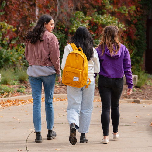 students-walking-sl.jpg