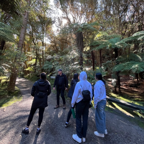 Students participating in the New Zealand field course