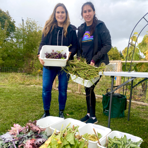 Sovereignty garden harvest