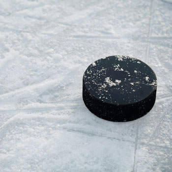 hockey puck