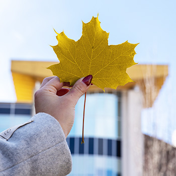 Hand holding a leaf on Laurier campus