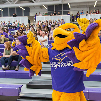 Golden Hawk mascot at Laurier Brantford YMCA Homecoming event