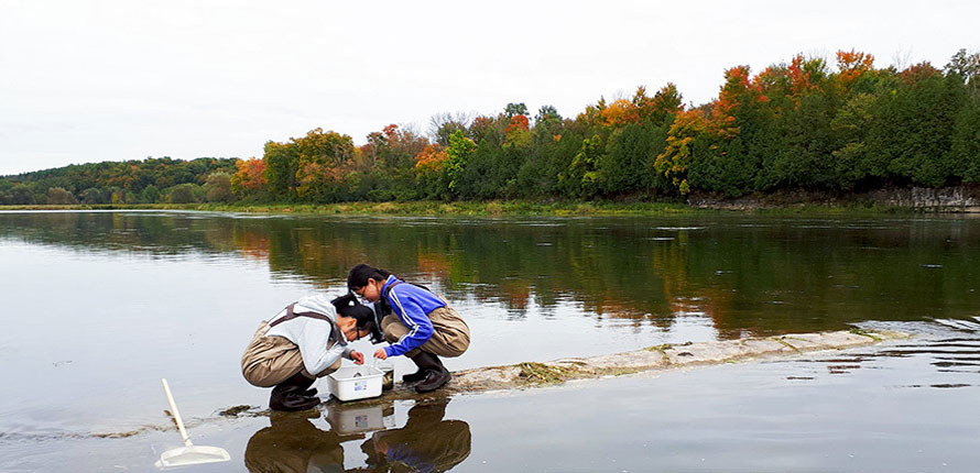 participants study their findings in the water