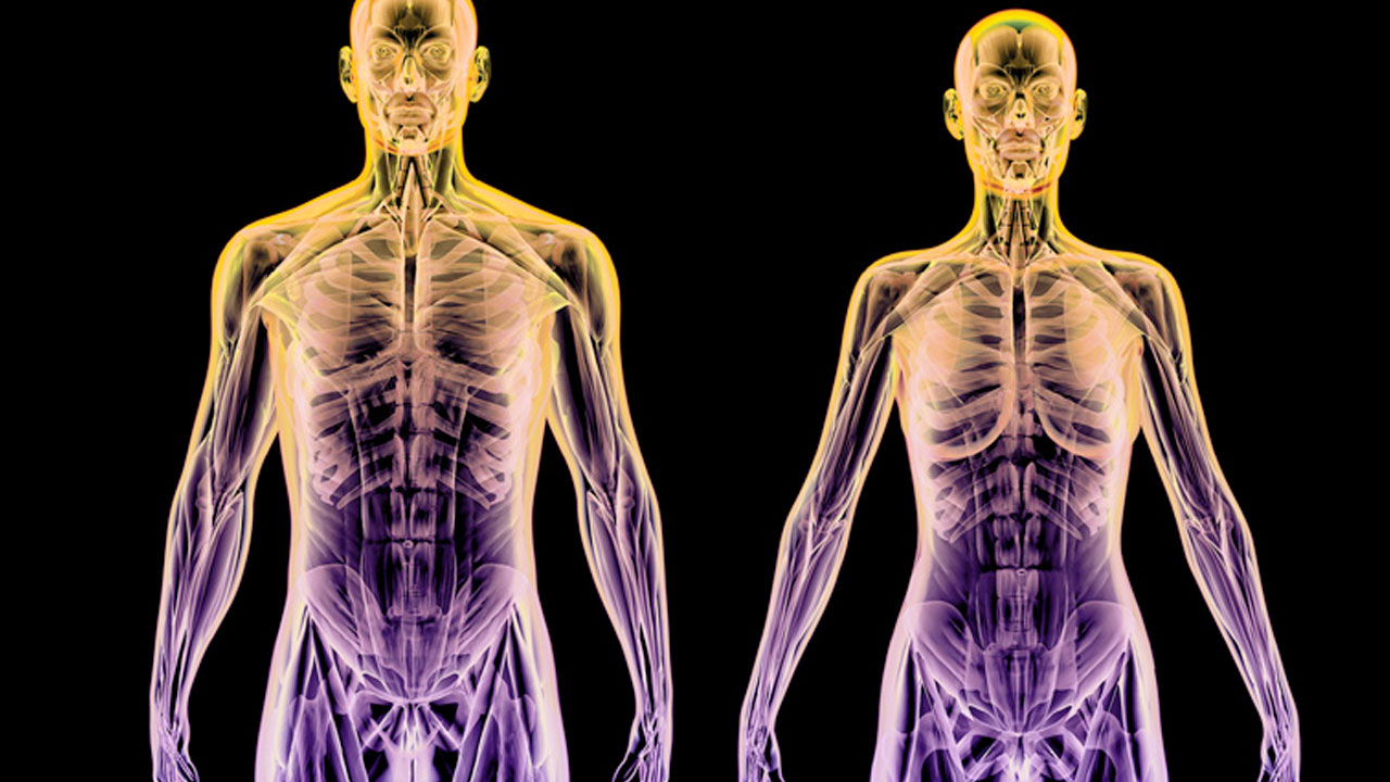 X-Rays of human bodies